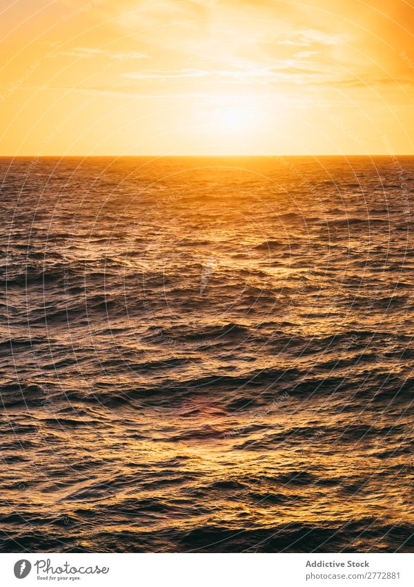 Helles Sonnenlicht über rauem Meer Sonnenaufgang Panorama (Bildformat) Wasser Hintergrundbild Landschaft Gold Horizont Morgen Paradies ruhig Jahreszeiten Umwelt