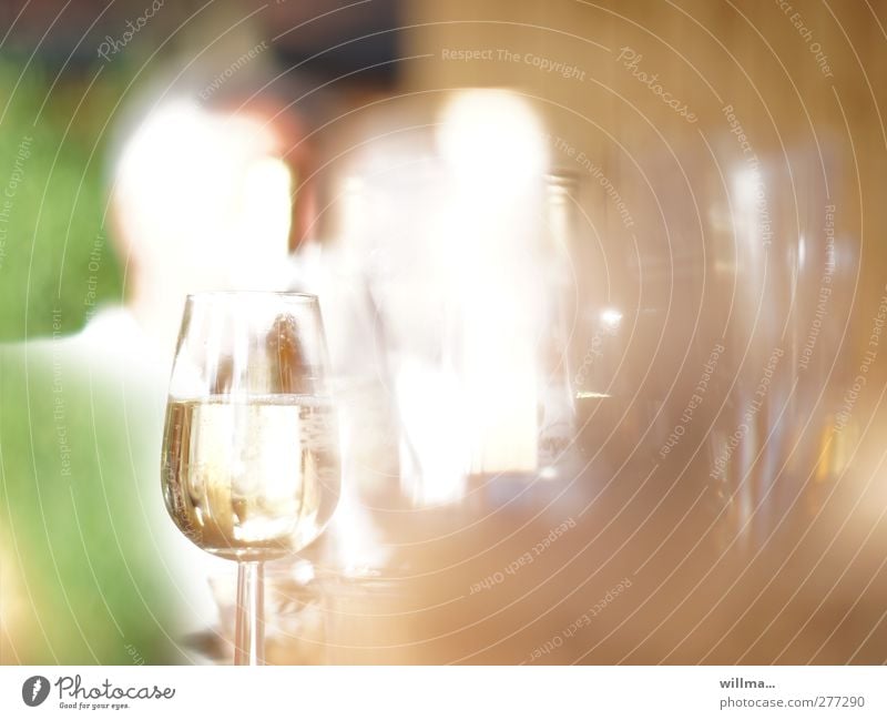 Gefülltes Sektglas bei einer Party Gartenfest Getränk Alkohol Prosecco Feste & Feiern Glas Unschärfe Weinglas Champagner Cocktailbar Veranstaltung Bar