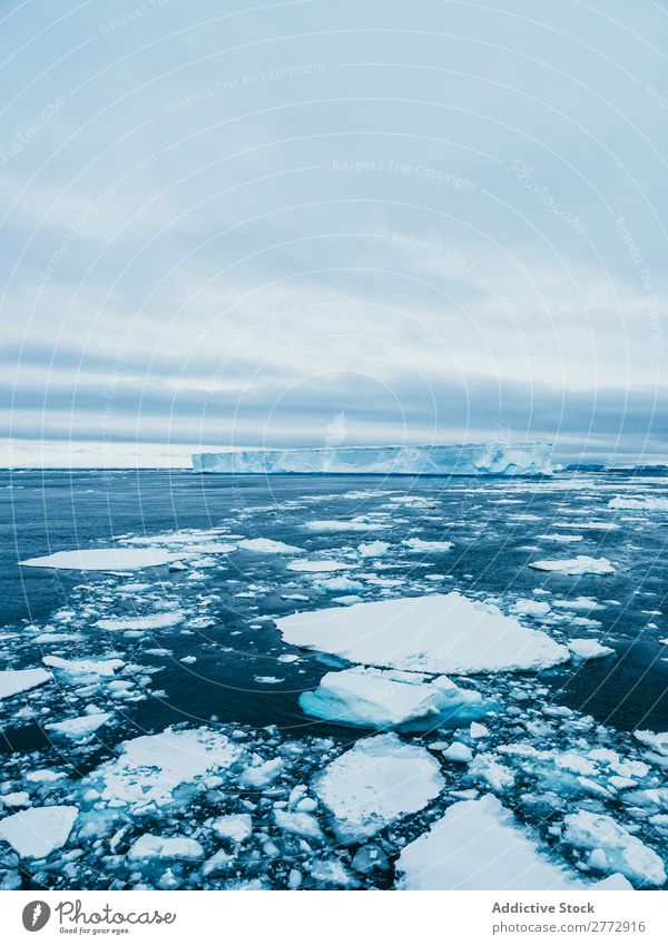 Eisrisse im Wasser schwimmend Landschaft Gletscher Meer Eisberg Teile dramatisch Riss Umwelt Beautyfotografie polar Norden Arktis Ferien & Urlaub & Reisen Natur