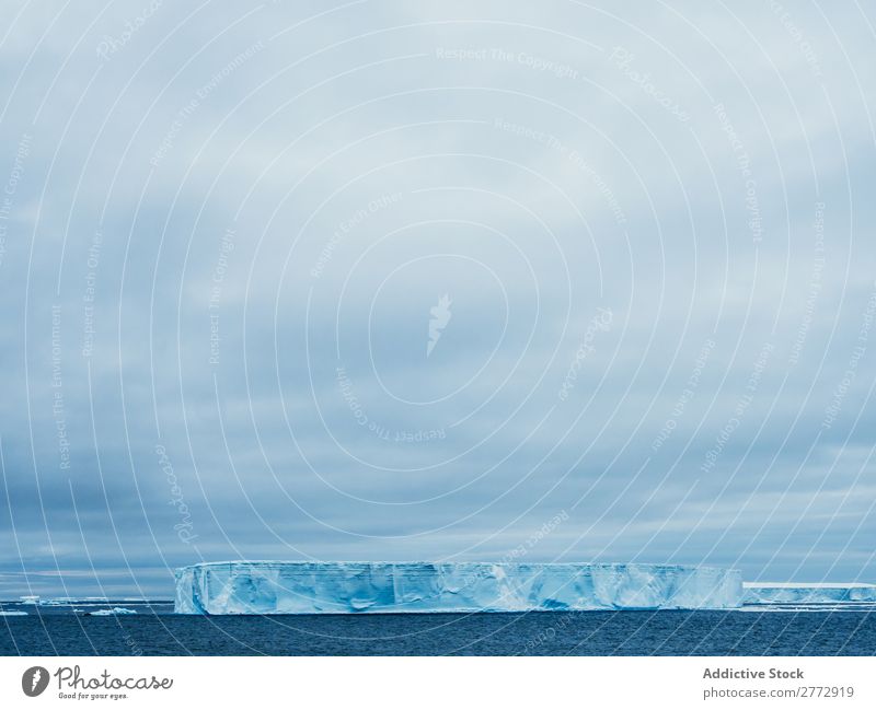 Gletscher im Meer Wand Eis Pinguin Eisberg Landschaft dramatisch Umwelt riesig Beautyfotografie Wasser polar Norden Arktis Ferien & Urlaub & Reisen Natur