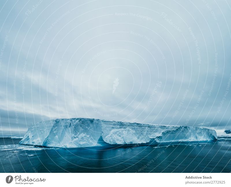 Gletscherwall im Meer Wand Eis Pinguin Eisberg Landschaft dramatisch Umwelt riesig Beautyfotografie Wasser polar Norden Arktis Ferien & Urlaub & Reisen Natur
