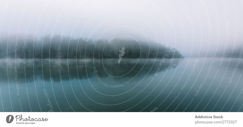 Nebliges Ufer des Sees Landschaft Nebel Umwelt malerisch ruhig Panorama (Bildformat) Baum Spiegel Wildnis Dunst Idylle friedlich geheimnisvoll Aussicht