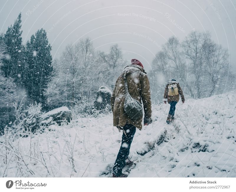 Menschen, die im Schnee einen Hügel besteigen. Schneefall Reisende Tourismus Natur Winter Freiheit Landschaft Erkundung Wetter frisch Trekking Entdecker