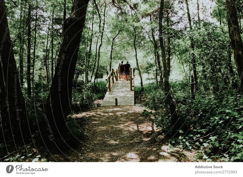 Brücke im Wald Mensch Natur Landschaft grün Trekking Baum laufen Park ruhig Umwelt Blatt Steg Holz natürlich Gang Szene Außenaufnahme horizontal