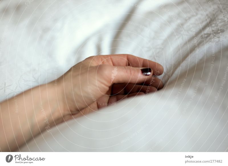 ...einschlafen Nagellack Gesundheitswesen Krankheit Erholung ruhig Häusliches Leben Bett Frau Erwachsene Hand Frauenhand Bettdecke Federbett liegen kuschlig