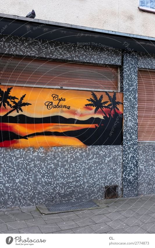 copacabana Sommerurlaub Strand Meer Copacabana Menschenleer Haus Mauer Wand Wege & Pfade Tier Wildtier Vogel Taube 1 Zeichen Schriftzeichen