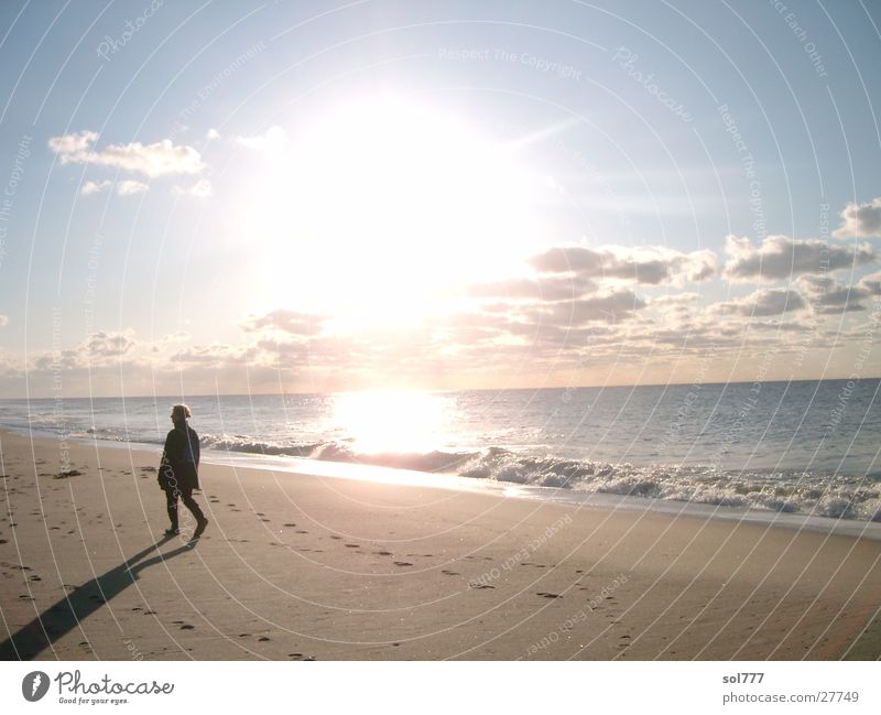 Strandwanderer im Herbst Einsamkeit Meer Sylt Mensch Ferne Wasser Sonne Schatten