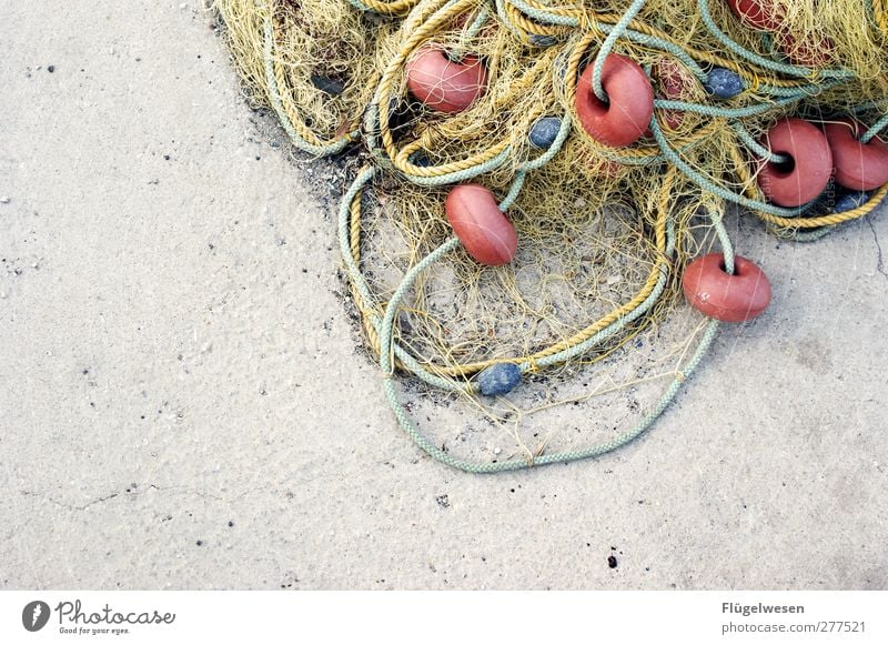 Neuer Tag neues Glück Fischereiwirtschaft Fischernetz Farbfoto Außenaufnahme Textfreiraum links Bildausschnitt