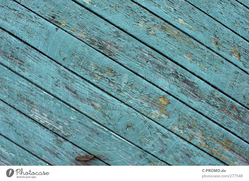 Industriefarbe vs. Wind&Wetter Fassade alt Holzbrett türkis verwittert Lack diagonal Lattenzaun Holzwand Farbfoto Außenaufnahme Menschenleer Hintergrund neutral