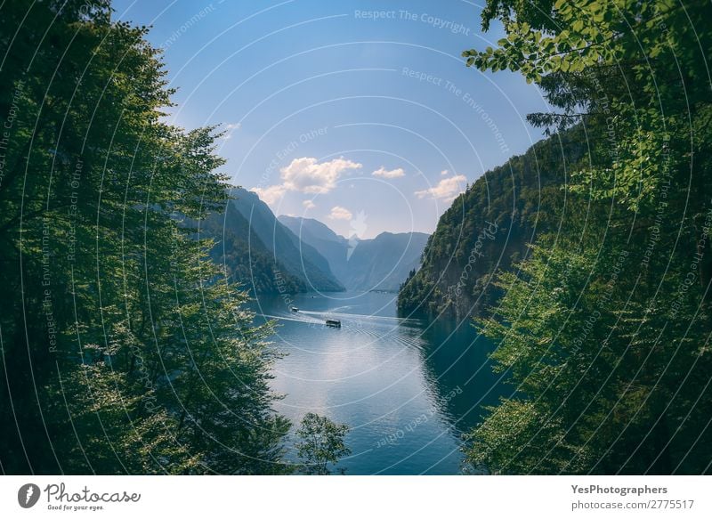 Königssee in den deutschen Alpen im Sommer Freude Tourismus Berge u. Gebirge Natur Landschaft Schönes Wetter Blatt Wald See frisch natürlich blau grün Idylle