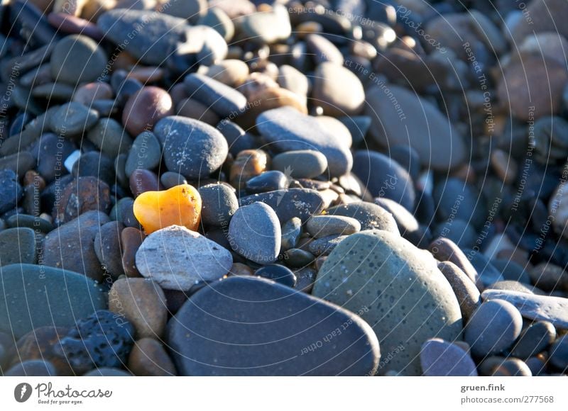 herz aus stein Strand Küste Stein Herz gelb grau Farbfoto Außenaufnahme Nahaufnahme Schwache Tiefenschärfe