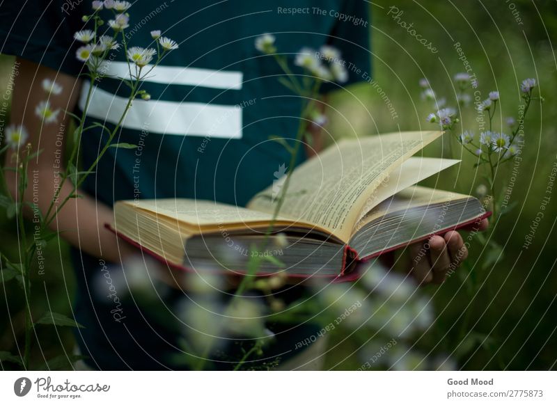 Teenager hält ein Buch in seinen Händen in der Natur. Lifestyle schön Erholung Freizeit & Hobby lesen Ferien & Urlaub & Reisen Sommer wandern Garten Schule