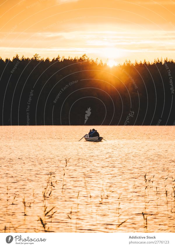 Boot, das bei Sonnenuntergang auf dem See schwimmt. Landschaft Wasserfahrzeug reisend Abenteuer Segeln Wald Farbe Seeufer Aussicht Tourismus Jahreszeiten