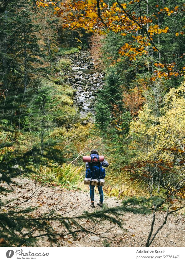 Backpacker im herbstlichen Wald Mensch Reisender Herbst Rucksacktourismus Sightseeing Landschaft Aussicht harmonisch Abenteuer Tourismus mehrfarbig wandern