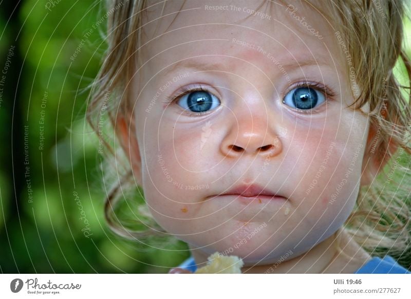 Ich sehe dich! Spielen Mensch Kleinkind Mädchen Kopf Gesicht Auge Ohr Nase Mund Lippen 1 1-3 Jahre Sommer Schwimmen & Baden Blick frisch Gesundheit schön