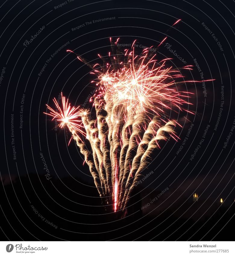 Feuerwerk Nachtleben Entertainment Party Veranstaltung Feste & Feiern Silvester u. Neujahr glänzend gold rosa rot schwarz silber Freude Gedeckte Farben