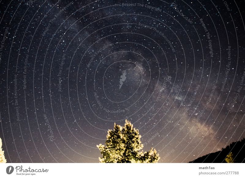 Milchstraße Nachthimmel Stern Sommer Stimmung Überraschung träumen Milchstrasse Galaxie Weltall Baum Farbfoto Außenaufnahme Menschenleer Weitwinkel