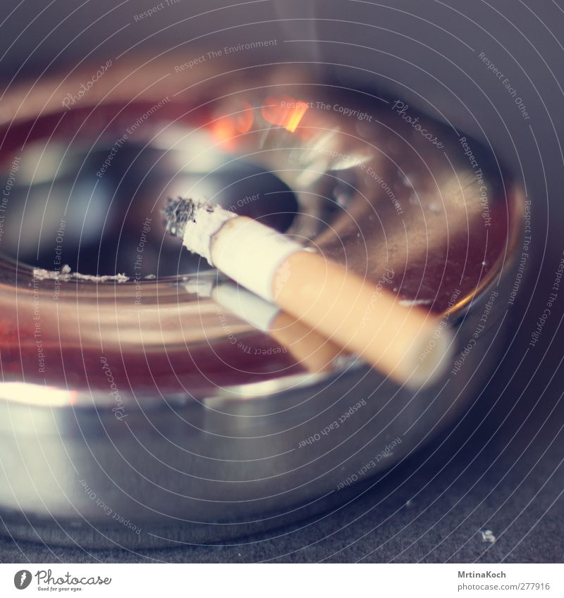 smoke. elegant Rauchen Rauschmittel Reinheit Zigarette Tabak Tabakwaren rauchend Aschenbecher Farbfoto mehrfarbig Außenaufnahme Nahaufnahme Detailaufnahme