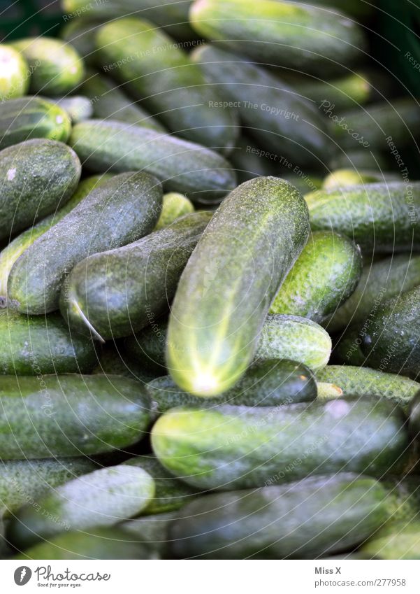 Gurke Lebensmittel Gemüse Ernährung Bioprodukte Vegetarische Ernährung sauer grün Gewürzgurke Gemüsehändler Gemüsemarkt Farbfoto Nahaufnahme Menschenleer