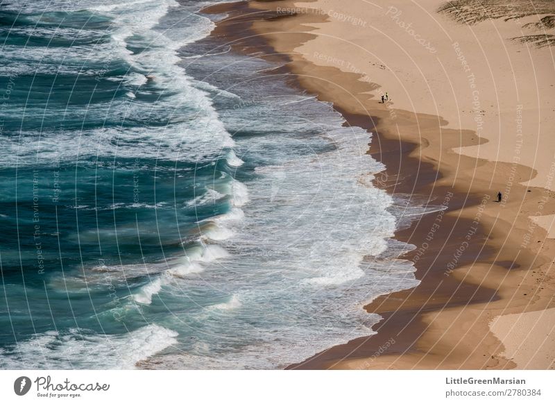 Schalter Natur Landschaft Urelemente Sand Wasser Sommer Wellen Küste Strand Meer Tasmanische See Pazifik blau braun türkis weiß gefährlich nass Schaum Farbfoto