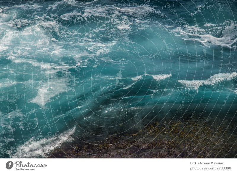 in Bewegung Natur Urelemente Wasser Sommer Wellen Küste Strand Meer Pazifik Tasmanische See Stein nass natürlich blau türkis weiß chaotisch Strukturen & Formen