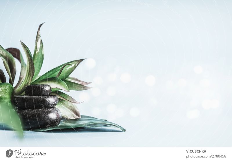 Schwarze Zen Steine Stapel &#8203;&#8203;mit grünen Blättern Lifestyle Design schön Gesundheit Wellness Sinnesorgane Erholung Meditation Spa Massage