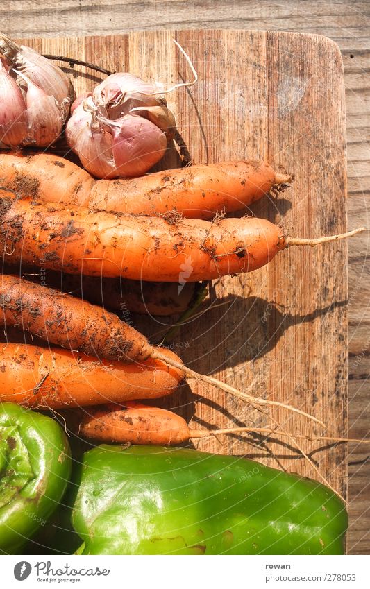 frisch Lebensmittel Gemüse Ernährung Essen Bioprodukte Vegetarische Ernährung genießen Gesundheitswesen rein Wachstum Möhre Paprika Knoblauch Garten Ernte