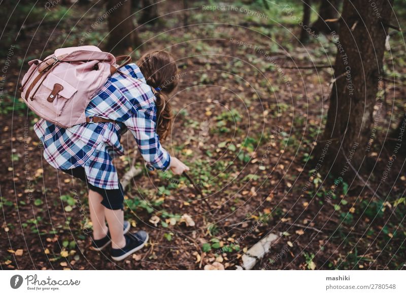 fröhliches Kind Mädchen erkundet den Sommerwald Lifestyle Glück Spielen Ferien & Urlaub & Reisen Abenteuer Freiheit Expedition wandern Kindheit Natur Pflanze