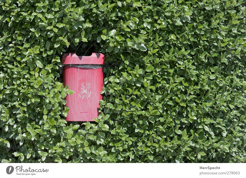 Müllschlucker Pflanze Sträucher Grünpflanze Kunststoff Wachstum bedrohlich grün rot Müllbehälter Müllentsorgung Hecke verschlucken zuwachsen verschlingen