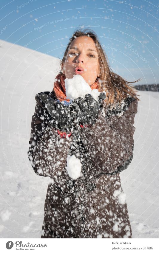 Frau pustet Schnee von ihren Händen Erwachsene Gesicht Hand 1 Mensch Himmel Winter gebrauchen berühren festhalten frech Außenaufnahme blasen Schneeflocke