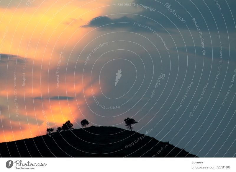 Hügel brennt Natur Landschaft Pflanze Urelemente Feuer Luft Himmel Wolken Sonnenaufgang Sonnenuntergang Klima Gewitter Baum San Giacomo Italien Europa