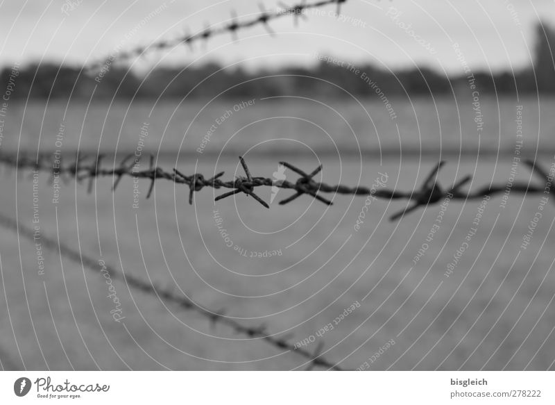 Sachsenhausen III Oranienburg Bundesadler Europa Kleinstadt Justizvollzugsanstalt Konzentrationslager Stacheldrahtzaun Metall grau Gedenkstätte Sachsenhausen