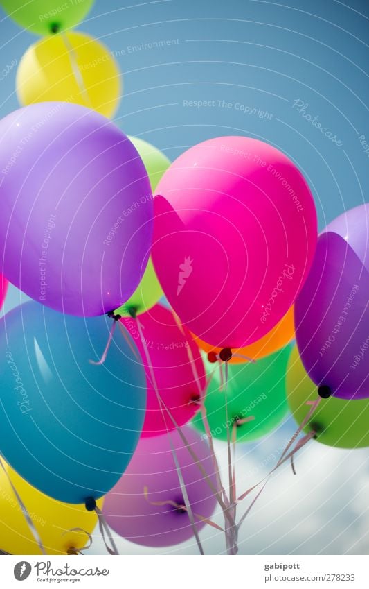 Gute Laune Ballons Luftballon Glück positiv rund blau mehrfarbig grün violett rosa Freude Fröhlichkeit Lebensfreude Feste & Feiern Geburtstag Party