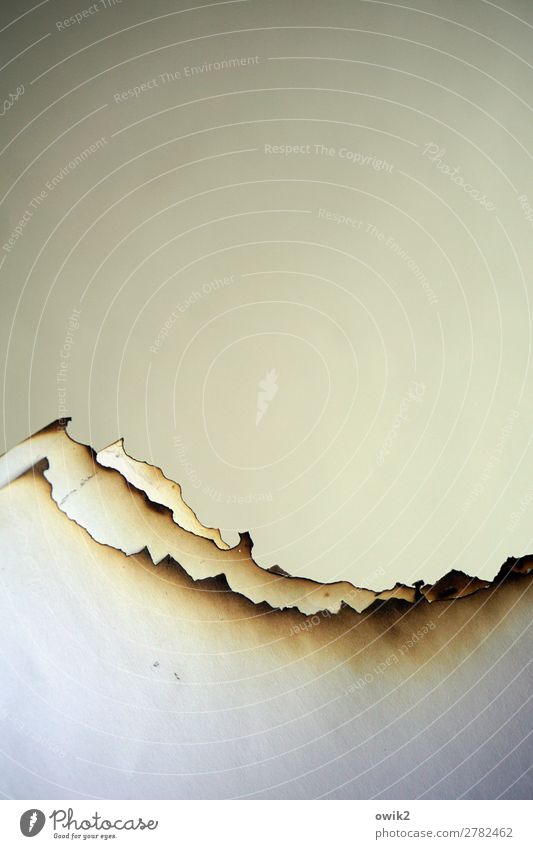 Insolvenz Papier Am Rand verbrannt abgebrannt Ruß Gipfel bizarr Farbfoto Innenaufnahme Detailaufnahme abstrakt Strukturen & Formen Menschenleer