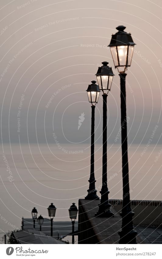 Before sunrise Hafenstadt ästhetisch Straßenbeleuchtung Licht Dämmerung Meer Promenade Aussicht Horizont Einsamkeit ruhig Morgendämmerung Farbfoto