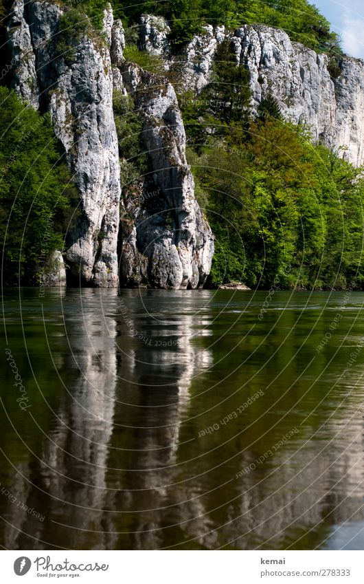 Donau-Idylle Umwelt Natur Landschaft Pflanze Urelemente Wasser Sommer Schönes Wetter Sträucher Felsen Flussufer nass bewachsen Wasseroberfläche Farbfoto