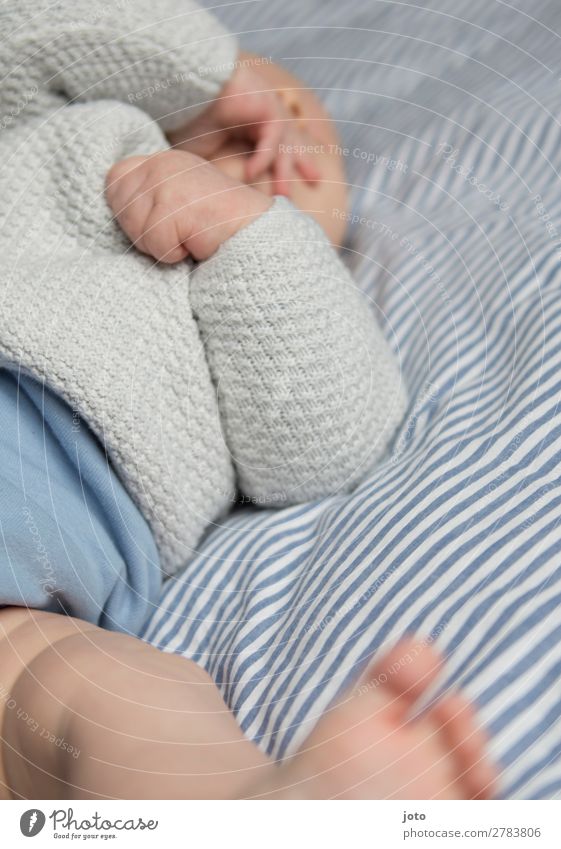 drehen Erholung Baby Kindheit Hand Fuß 0-12 Monate Pullover berühren liegen nackt natürlich blau Vertrauen Geborgenheit Zufriedenheit Bewegung Energie Neugier