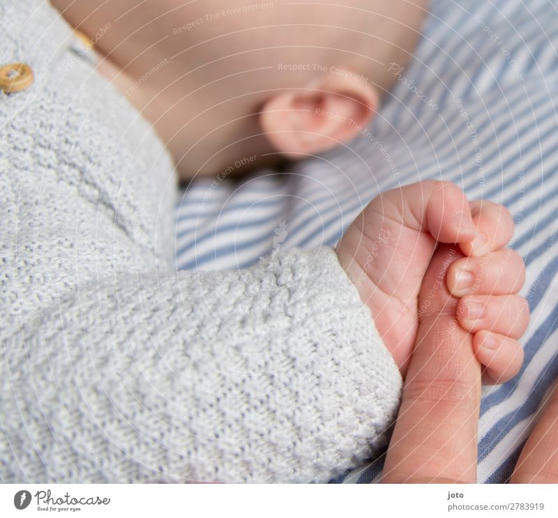 ich lass nicht los Glück Zufriedenheit Erholung ruhig Baby Junge Mutter Erwachsene Kindheit Hand Finger 0-12 Monate berühren festhalten genießen Kommunizieren