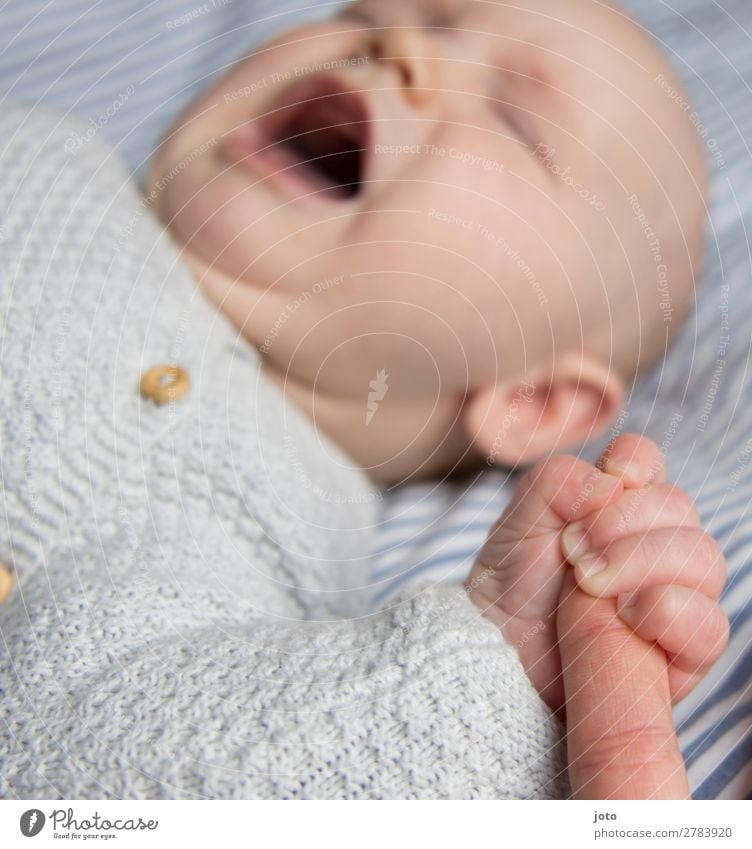 Weinendes Baby hält sich an Elternteil fest Erholung Mutter Erwachsene Kindheit Hand Finger 0-12 Monate Pullover berühren liegen weinen Zusammensein natürlich