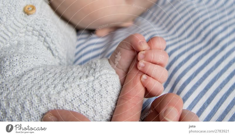 greifen Glück Zufriedenheit Erholung ruhig Baby Junge Mutter Erwachsene Kindheit Hand Finger 0-12 Monate berühren festhalten genießen Kommunizieren liegen