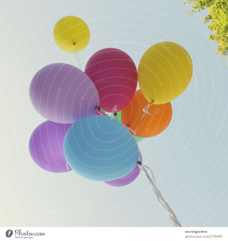 fesselspiel. Party Veranstaltung Feste & Feiern Jahrmarkt Geburtstag Wolkenloser Himmel Sommer Schönes Wetter Luftballon fliegen hell oben retro rund blau
