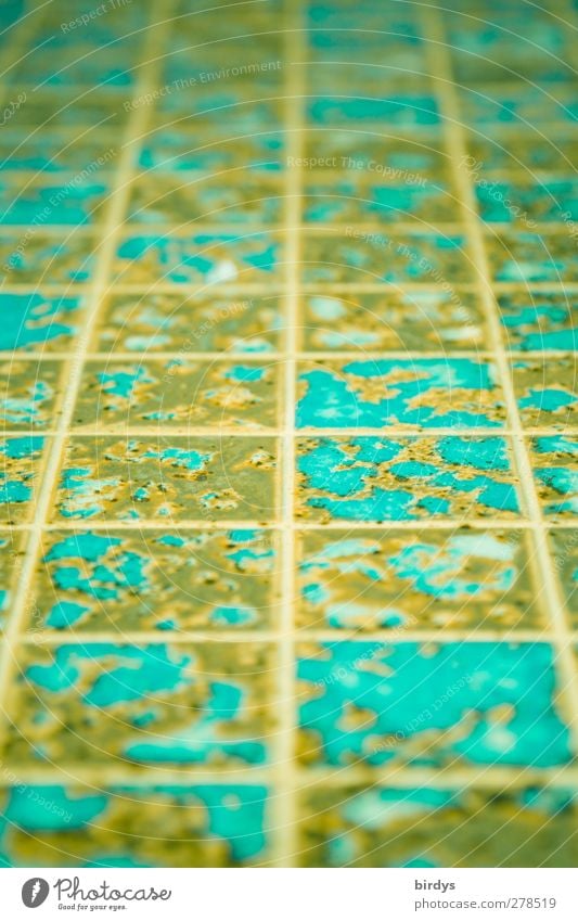 Fußbodendesign Ornament authentisch frisch blau Design Symmetrie Bodenbelag Linie Abnutzung Perspektive Muster Farbfoto Innenaufnahme abstrakt