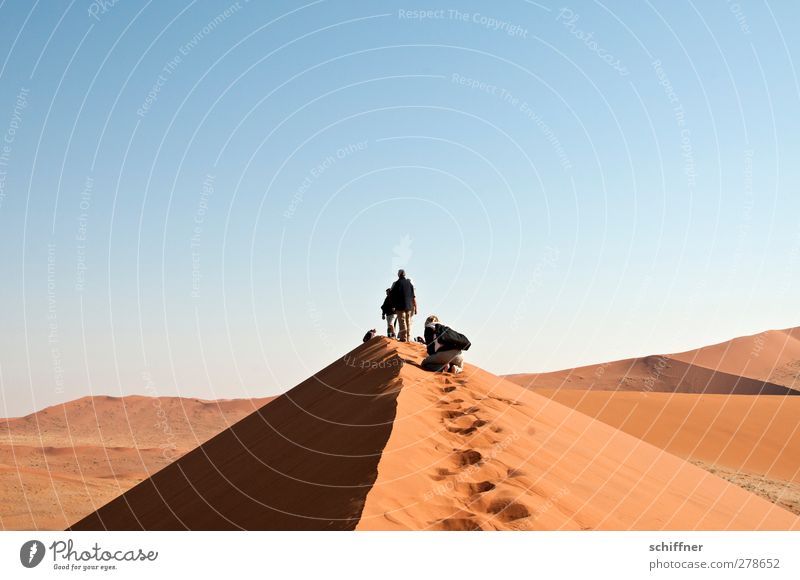Der schmale Grat Mensch 3 4 Umwelt Natur Landschaft Wüste stehen Bergkamm Düne Stranddüne Sand rot Gipfel Ferne aufsteigen Aussicht Sossusvlei Namib Namibia