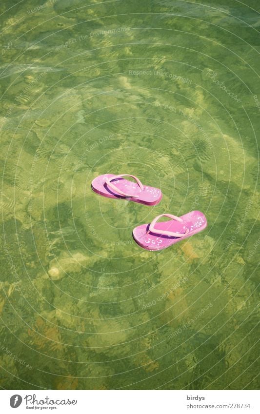auf dem Wasser schwimmende pinkfarbene Flip-flops Flipflops Sommer Schönes Wetter Meer See Schwimmen & Baden außergewöhnlich lustig grün rosa Gelassenheit Farbe