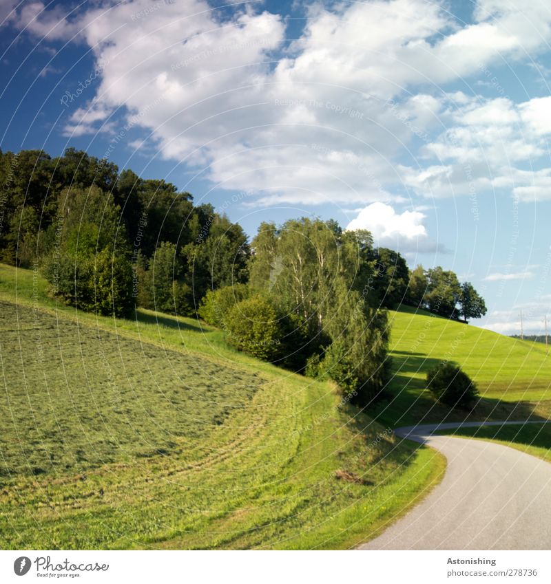 kurve Umwelt Natur Landschaft Pflanze Himmel Wolken Sommer Wetter Schönes Wetter Wärme Baum Gras Sträucher Wiese Wald Hügel Verkehr Straßenverkehr blau