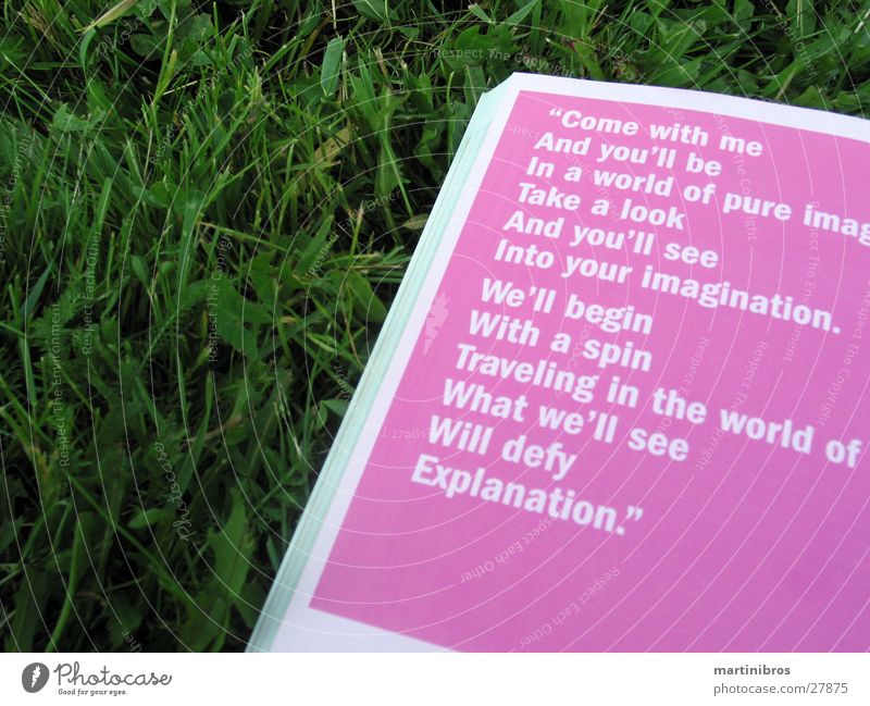 lektüre im freien Buch rosa Gras Park lesen Erholung Sommer Bildung Buchstaben Freizeit & Hobby Schriftzeichen Kontrast Außenaufnahme