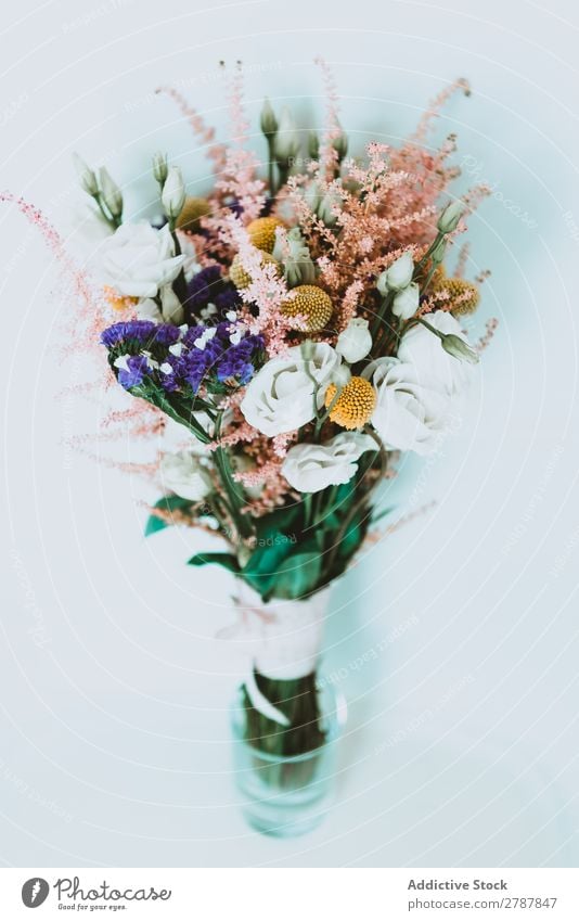 Blumenstrauß aus frischen Blumen Valentinsgruß Hochzeit hochzeitlich Haufen aromatisch schön Pflanze geblümt Dekoration & Verzierung Blüte natürlich romantisch
