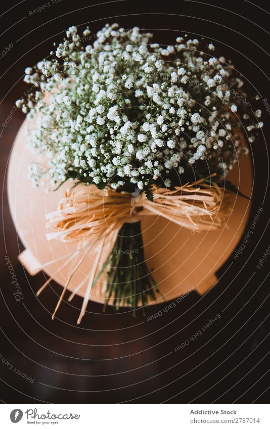 Blumenstrauß aus weißen Blumen auf Ständer stehen Valentinsgruß Haufen frisch geblümt Dekoration & Verzierung Tisch Feste & Feiern romantisch Blüte Pflanze