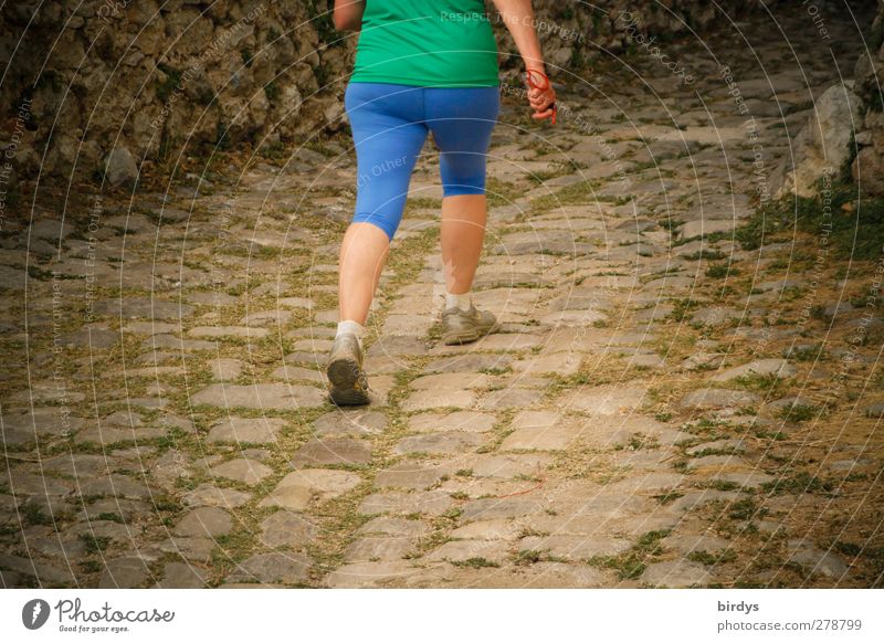 Fit im Alter Gesundheit Übergewicht Leben Joggen Frau Erwachsene 1 Mensch 45-60 Jahre Wege & Pfade Pflasterweg Bewegung gehen laufen authentisch sportlich