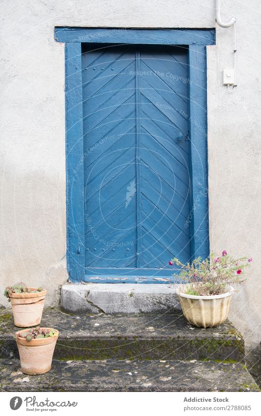 Gebäude mit blauer Tür und Blumen auf der Treppe Schritt Pyrenäen Konstruktion Topf weiß Fassade alt Pflanze Stein Ferien & Urlaub & Reisen Straße schön